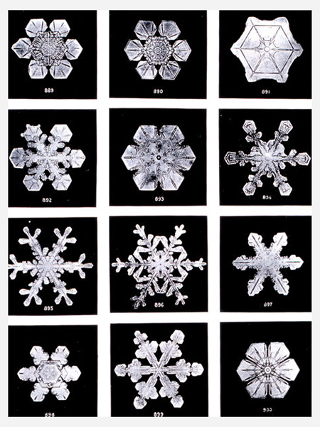 SnowflakesWilsonBentley.jpg